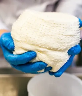 První mozzarella vznikla z nešikovnosti kuchaře, a co ostatní pařené sýry?