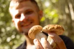 I jedlé houby představují zdravotní riziko: Časovaná toxická nálož?