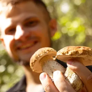 I jedlé houby představují zdravotní riziko: Časovaná toxická nálož?