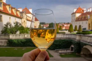 Vinaři z Česka slaví úspěch,  z AWC Vienna přivezli 32 zlatých medailí