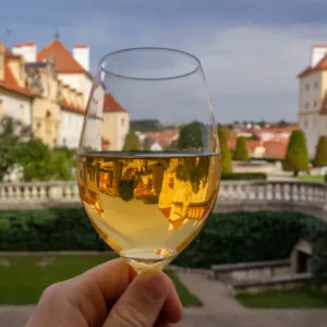 Vinaři z Česka slaví úspěch,  z AWC Vienna přivezli 32 zlatých medailí