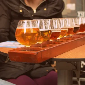 TEST PIVA: Jak obstály české ležáky? Rozdíly jsou v chuti i kvalitě surovin