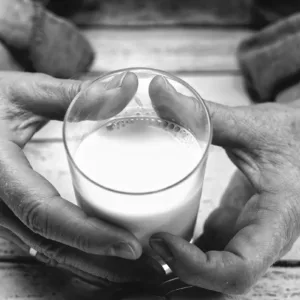 Kozí mléko s vitaminem D a vápníkem? Studie naznačuje možné benefity pro svaly i snížení tuku