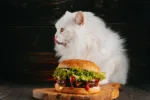 Londýn šokoval neobvyklý gurmánský experiment: Po burgeru pro kočky se mohli lidé 