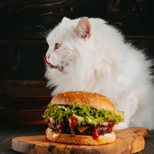 Londýn šokoval neobvyklý gurmánský experiment: Po burgeru pro kočky se mohli lidé „utlouct“
