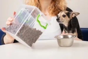 Granule pro psy nebo chlorofylová voda. Proč jsou TikTok diety nebezpečnou hrou se zdravím?