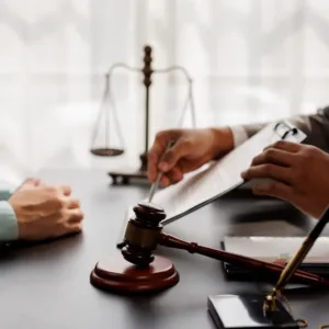 Bruselský plán na záchranu pralesů? Spotřebitel by jen platil víc