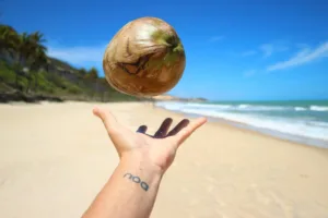 Coconut Apple dobývá chuťové pohárky Evropy: Kdy dorazí tropický zázrak i k nám?