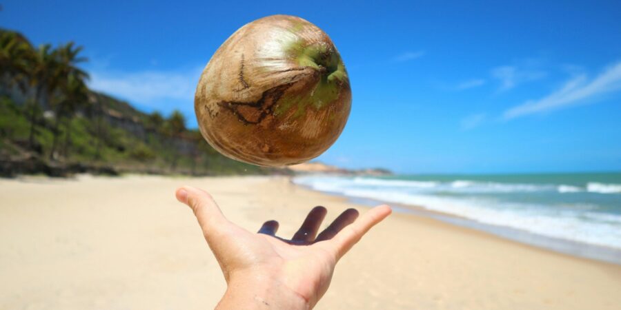 Coconut Apple dobývá chuťové pohárky Evropy: Kdy dorazí tropický zázrak i k nám?
