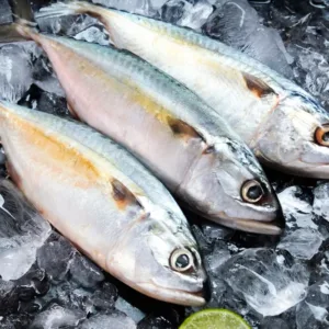 Ryby podle ČCN jsou zárukou nejvyšší kvality