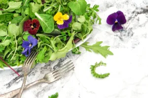 Květiny se stávají novým kořením gastronomie: Éra „květinové chuti“ mění saláty i dezerty