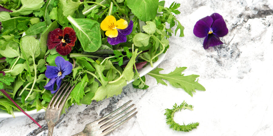 Květiny se stávají novým kořením gastronomie: Éra „květinové chuti“ mění saláty i dezerty