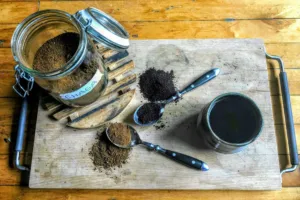 Houbové zlato z Finska tlumí zánět a posiluje imunitu: Čaga se stala exportním fenoménem severu