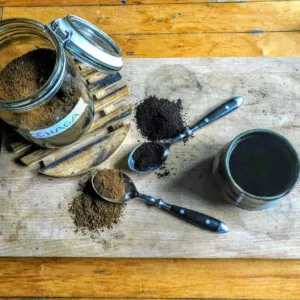 Houbové zlato z Finska tlumí zánět a posiluje imunitu: Čaga se stala exportním fenoménem severu