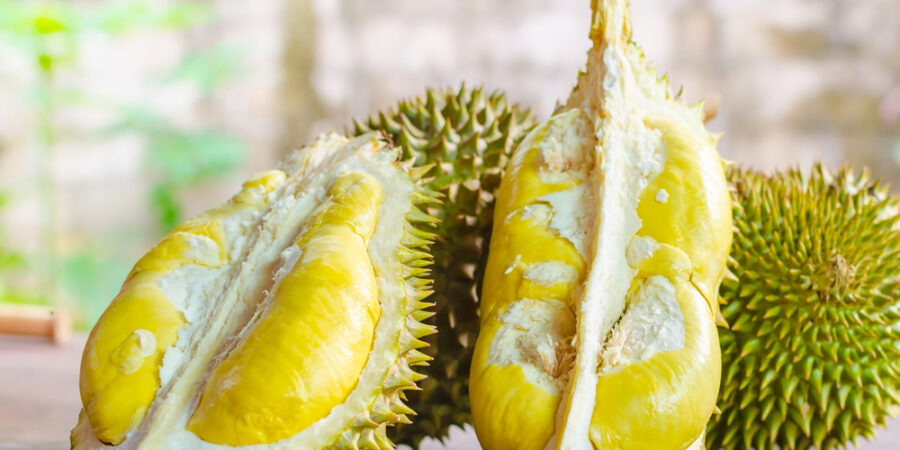 Nejaromatičtější ovoce světa: Durian voní jako benzín, chutná jako karamel a v Asii stojí víc než humr
