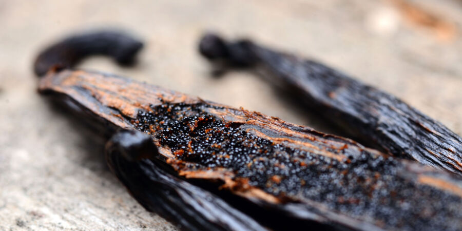 Proč je pravá vanilka tak drahá: Ruční opylování, kriminalita a klimatické riziko