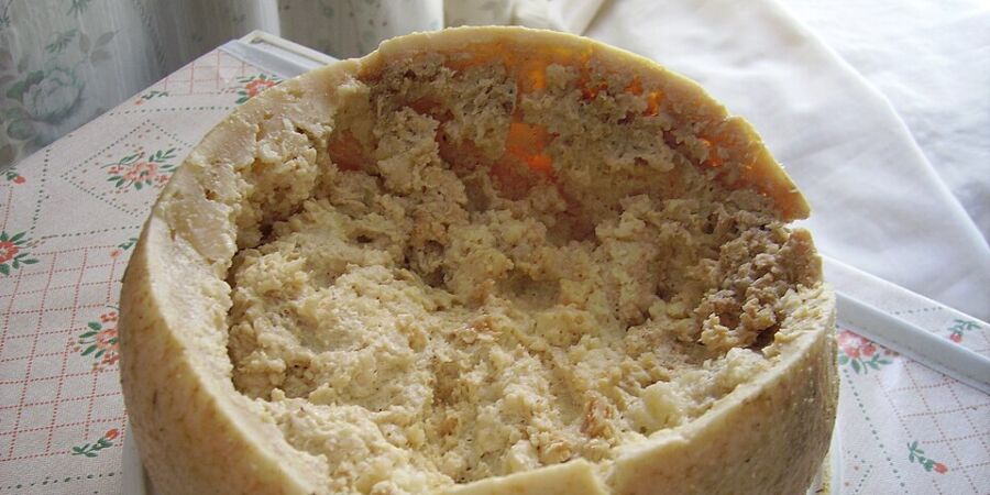 Casu marzu: Kontroverzní delikatesa ze Sardinie chutná jako sen odvážných gurmánů, jako suvenýr si ji ale nepřivezete