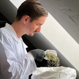 Klinická studie ve FN Brno naznačuje přínosy kombuchy po chirurgických zákrocích: Výsledky shrnuje Michal Ďuriník