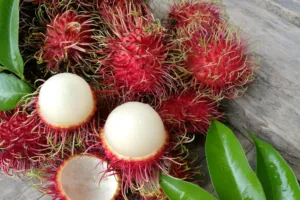 Vánoční exotika na talíři: Co čekat od mangostanu, rambutanu, papáji a dalších plodů?