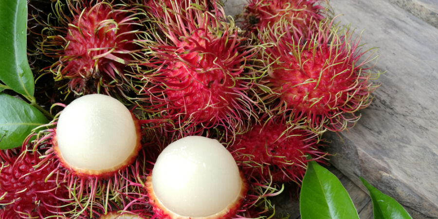 Vánoční exotika na talíři: Co čekat od mangostanu, rambutanu, papáji a dalších plodů?