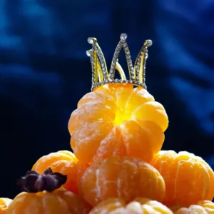 Mandarinky: Proč je ta „obyčejná“ vůně Vánoc ve skutečnosti biologickým zázrakem?