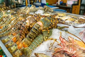 Nový zlatý důl zlodějů: Prémiové potraviny mizí už při předávce a ztráty jdou do milionů