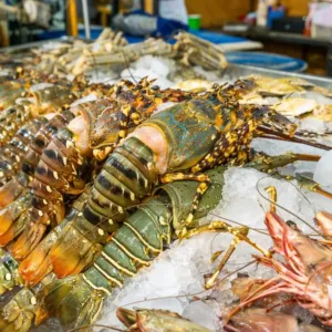 Nový zlatý důl zlodějů: Prémiové potraviny mizí už při předávce a ztráty jdou do milionů