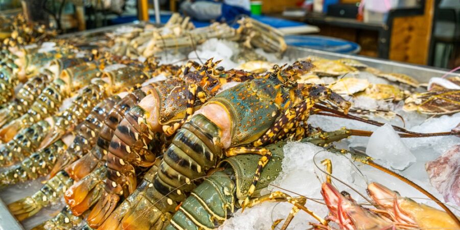 Nový zlatý důl zlodějů: Prémiové potraviny mizí už při předávce a ztráty jdou do milionů