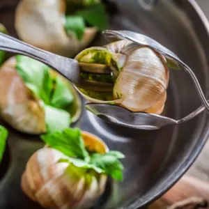 Francouzi přišli o vánoční delikatesu! Řeší se největší potravinová loupež šneků