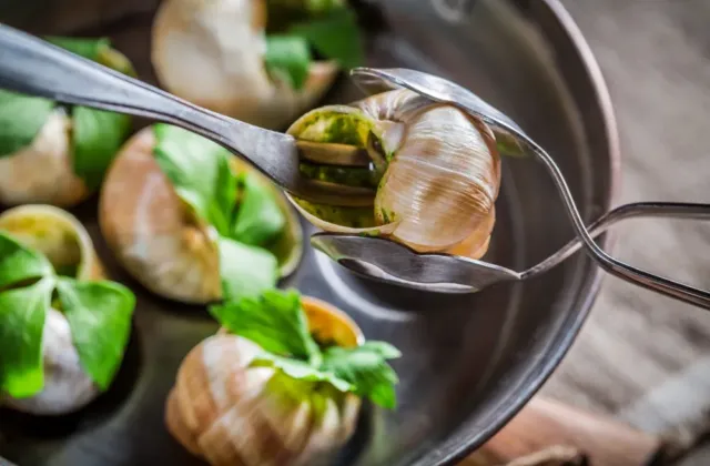 Francouzi přišli o vánoční delikatesu! Řeší se největší potravinová loupež šneků