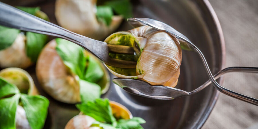 Francouzi přišli o vánoční delikatesu! Řeší se největší potravinová loupež šneků