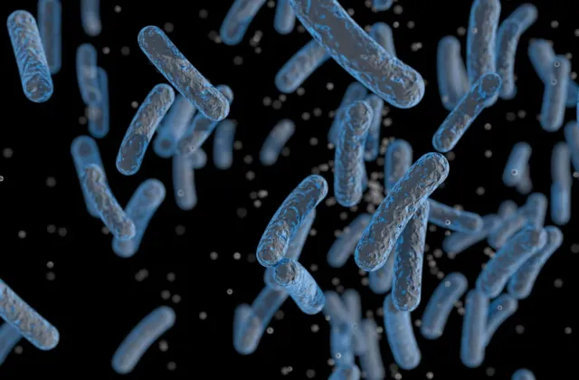 Veterinární kontroly odhalují salmonelu v dovozových i domácích potravinách: Poslední případ se týká kuřat z Francie