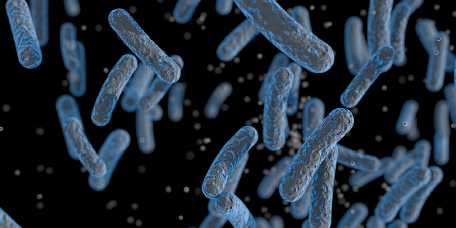 Veterinární kontroly odhalují salmonelu v dovozových i domácích potravinách: Poslední případ se týká kuřat z Francie