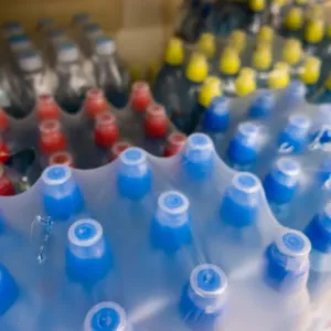 Dilema povinného zálohování: Rozumná cesta, nebo hazard s fungujícím trhem?