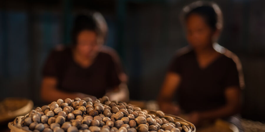 Lék proti moru, nebo záminka k válce? Neobyčejný příběh muškátového oříšku, který stál u zrodu New Yorku