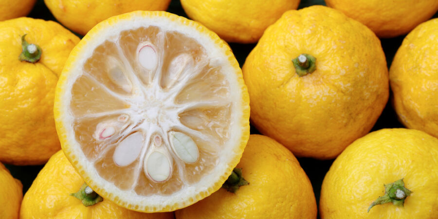 Mýtus o citrusech a vitaminu C přežívá z dob námořníků: Skutečný zdroj leží jinde