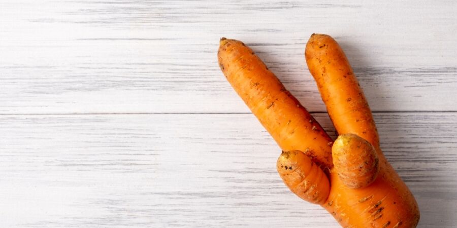 Ošklivá zelenina parádu neudělá, obsahem živin však předčí ty nejdokonalejší kusy, tvrdí michelinský šéf Dan Barber