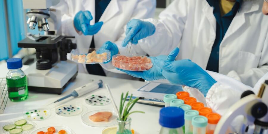 Od subjektivního dojmu k technickému parametru: Cechovní normy jako garant integrity trhu