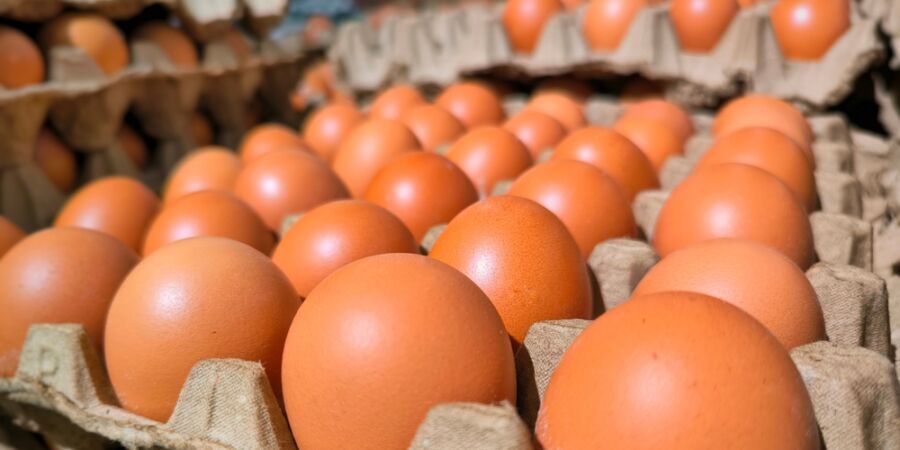 (Ne)vydařený konec klecových chovů: Proč se vejce s trojkou z pultů ještě neztratila?