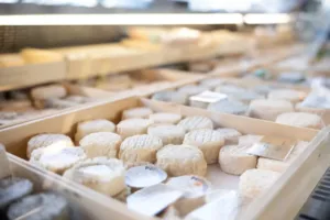 Dnešek patří sýru: Od ušlechtilé plísně po hranici zákona