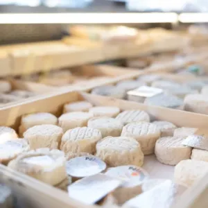 Dnešek patří sýru: Od ušlechtilé plísně po hranici zákona