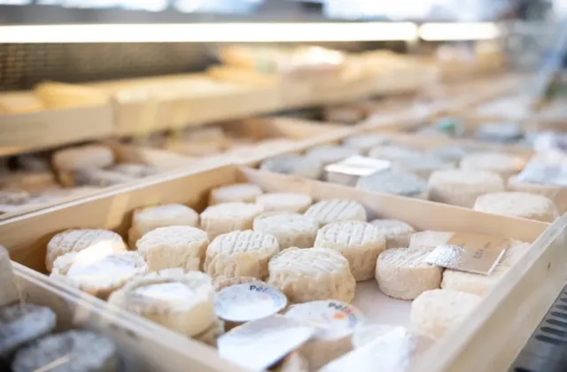 Dnešek patří sýru: Od ušlechtilé plísně po hranici zákona