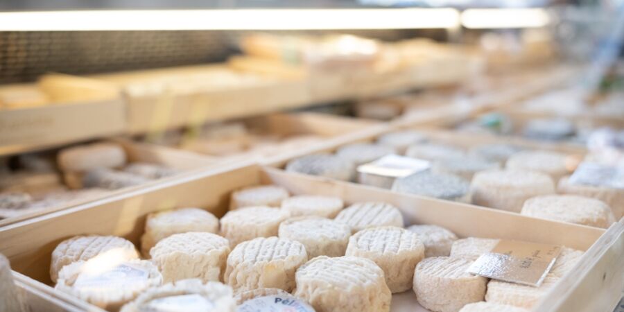 Dnešek patří sýru: Od ušlechtilé plísně po hranici zákona