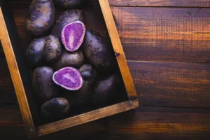 Fialová revoluce: Proč jsou nejtemnější plody přírody klíčem k dlouhověkosti?