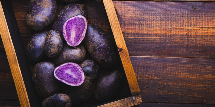 Fialová revoluce: Proč jsou nejtemnější plody přírody klíčem k dlouhověkosti?