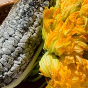 Gastronomičtí parazité na talíři: Proč milujeme plísně na kukuřici a podzemní houby za tisíce eur? 