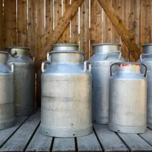 Sádra, křída, škrob i barviva v mléku: Skandál, na který historie nezapomněla ani po 168 letech