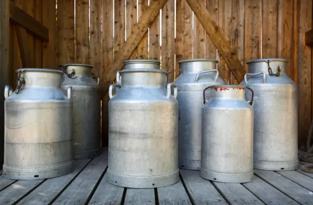 Sádra, křída, škrob i barviva v mléku: Skandál, na který historie nezapomněla ani po 168 letech