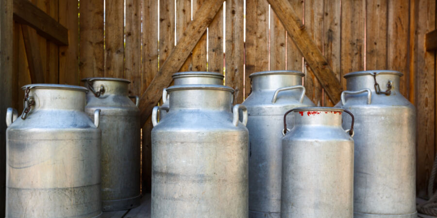 Sádra, křída, škrob i barviva v mléku: Skandál, na který historie nezapomněla ani po 168 letech