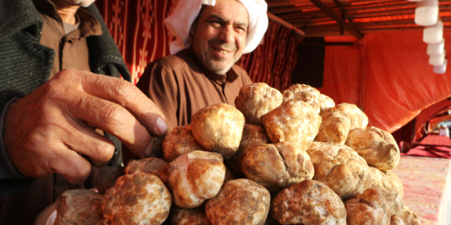 Dcery hromu: Proč pouštní lanýže svou nutriční silou i cenou drtí evropské delikatesy?